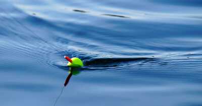 10 základných tipov pre rybárov začiatočníkov - všetko, čo by ste mali vedieť pred prvou rybačkou, 1. časť