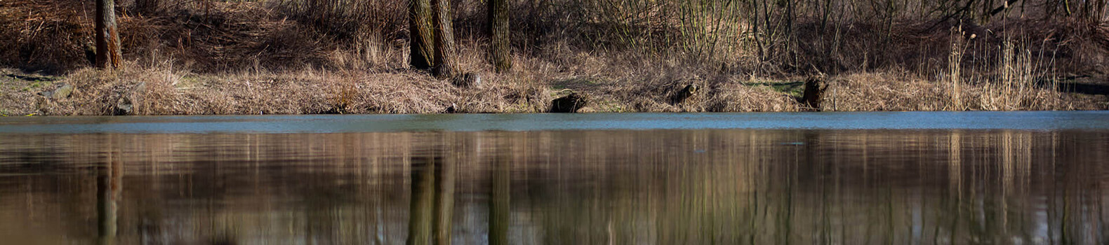 Titulná foto Rybačka na predpis?