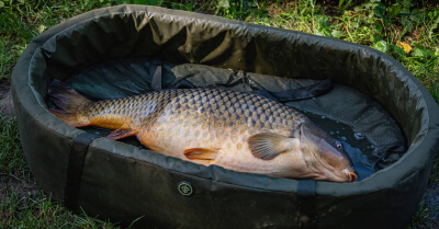 Správne zaobchádzanie s ulovenou rybou