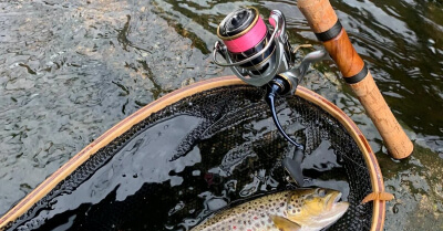 Prečo nástrahy od Harmony baits? 8