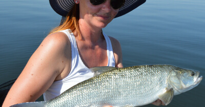 Nástrahy TAPADÓ 12