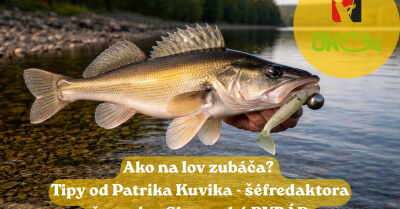 Ako na lov zubáča? Tipy od Patrika Kuvika