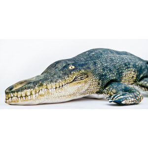 Obrázek 2 k Polštář GABY Krokodýl mořský, 120cm