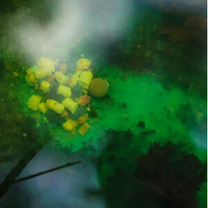 Obrázek 9 k Liquid NIKL LUM-X Yellow Loquid Glow Corn