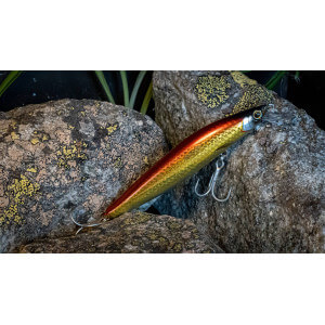 Obrázek 3 k Vobler SHIMANO Cardiff ML Bullet AR-C 9,3 cm, 10 g