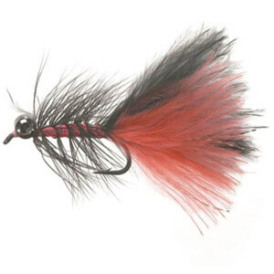 Muška UNIQUE Flies Orange