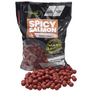 Boilie STARBAITS Mass Baiting Spicy Salmon