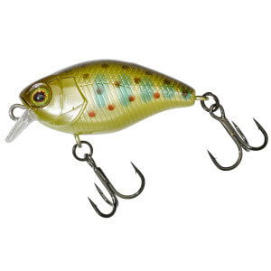 Vobler ILLEX Chubby Micro 30, Truitelle