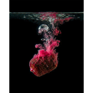 Obrázek 2 k Liquid TB Baits Smoke Liquid Grand Krill, 100 ml