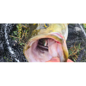 Obrázek 6 k Wobler TAPADO SZ 6cm, 13g, Rainbow TROUT