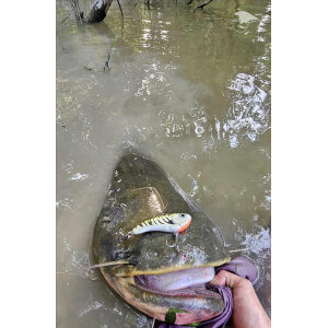 Obrázek 11 k Wobler TAPADO SZ, Chub