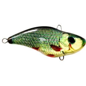 Wobler TAPADO Druid, Chub