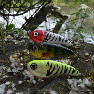 Obrázek 2 k Wobler TAPADO SZ, FT