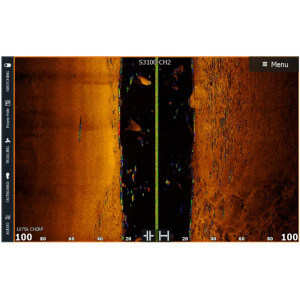 Obrázek 4 k Sonda Active Imaging™ HD 3in1 (M/H) SideScan Fish Reveal
