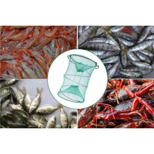 Obrázok 5 k Pasca SPORTS na nástrahové rybky