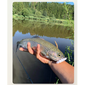 Obrázok 5 k Larva HARMONY BAITS Apod, Cheese, 37 mm, 9 ks