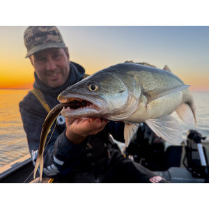 Obrázok 2 k Smáčik KUORE Phantom, Sexy Shad