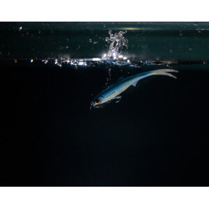 Obrázok 11 k Smáčik KUORE Phantom, Bleak