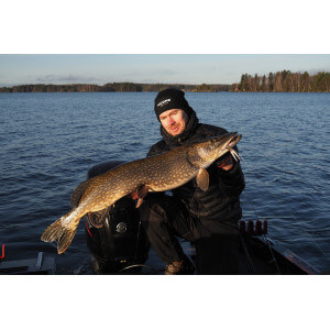 Obrázok 9 k Smáčik KUORE Phantom, Dark Perch