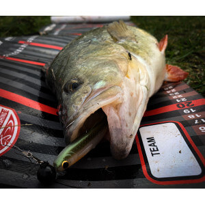 Obrázok 7 k Kopyto KUORE Recoil, Electric Shad