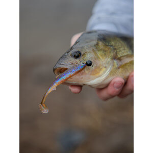 Obrázok 9 k Kopyto KUORE Recoil, Sexy Shad