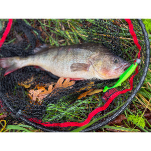 Obrázok 11 k Kopyto KUORE Recoil, Sexy Shad