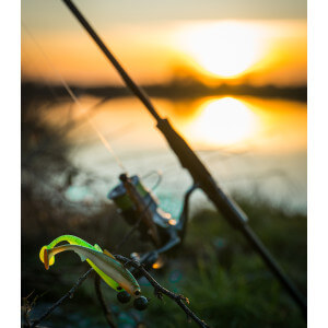 Obrázok 12 k Kopyto KUORE Recoil, Wakasagi