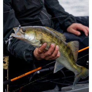 Obrázok 5 k Nástraha KUORE Torpedo 9 cm, Ayu, 3 ks