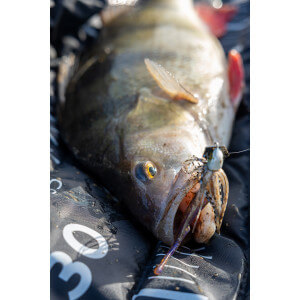 Obrázok 3 k Nástraha KUORE Torpedo 9 cm, Silver Ayu, 3 ks