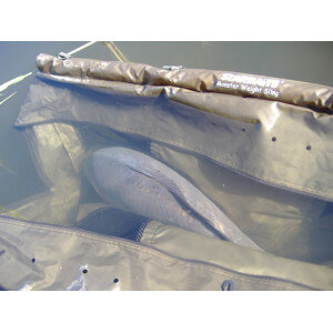Obrázek 5 k Vážící vak StarBAITS Monster Weight Sling