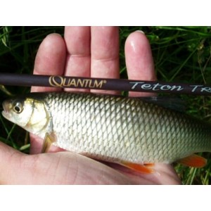 Obrázek 2 k Prut QUANTUM Teton Trout