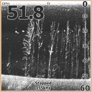 Obrázok 2 k Sonar LOWRANCE Mark-5x DSI