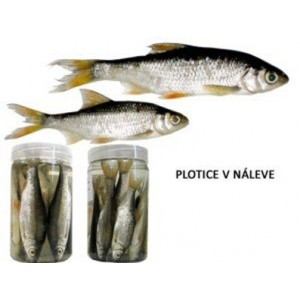Plotice v nálevu