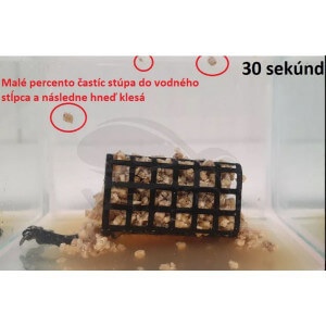 Obrázok 4 k Drvené kostné červy a pinky VAĎO v melase