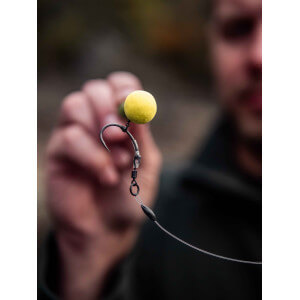 Obrázek 7 k Háčky GIANTS FISHING Short Curve Shank s očkem
