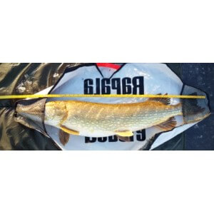 Obrázok 2 k Podložka RAPALA Weig Sling Bag