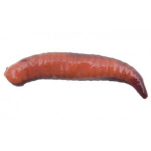 Obrázek 2 k Nástraha BERKLEY Pinchet Crawler