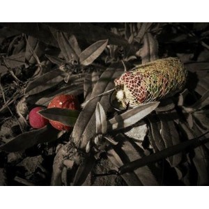 Obrázek 3 k PVA punčocha Mesh