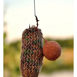 Obrázek 4 k PVA punčocha Mesh