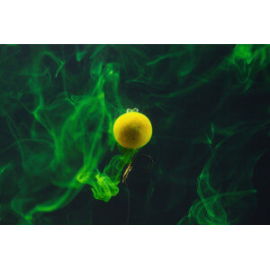 Obrázek 4 k Boilie Tandem Baits SuperFeed Diffusion Mini Pop Up