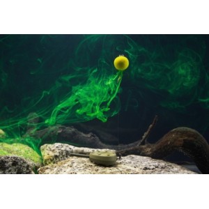 Obrázok 5 k Boilie Tandem Baits Method Feeder Diffusion Micro Pop Up