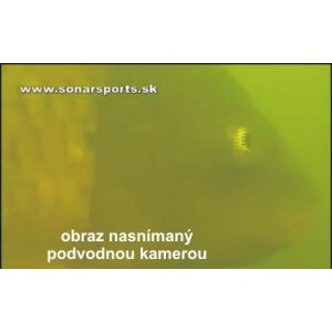 Obrázok 3 k Podvodná kamera k dotykovým sonarom HDS GEN2 9 a 12