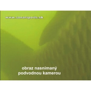 Obrázok 6 k Podvodná kamera k dotykovým sonarom HDS GEN2 9 a 12