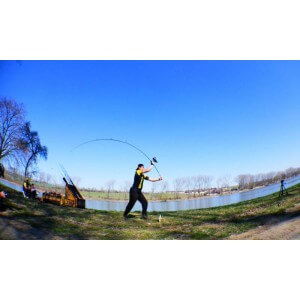 Obrázek 11 k Pruty SPORTEX Brillant Carp V2