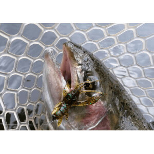Obrázek 2 k Dipovaná umělá nástraha FishUp Real Craw, 4,8 cm, 7 ks