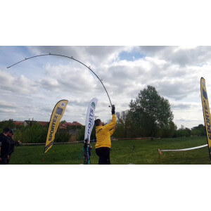 Obrázek 5 k Prut SPORTEX Impressive Carp