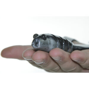 Obrázok 2 k Nástraha QUANTUM Twinler 20cm