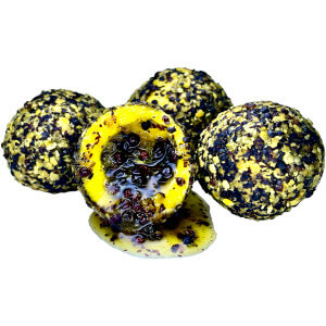 Boilie LK BAITS Nutrigo Balanc Particle Honey Rape