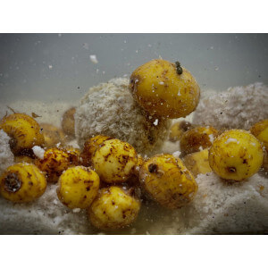 Obrázok 2 k Boilie LK BAITS Nutrigo Balanc Particle Tiger Nuts