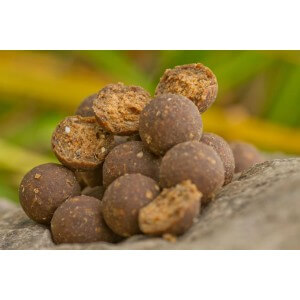 Obrázok 2 k Boilie STARBAITS N.F.S